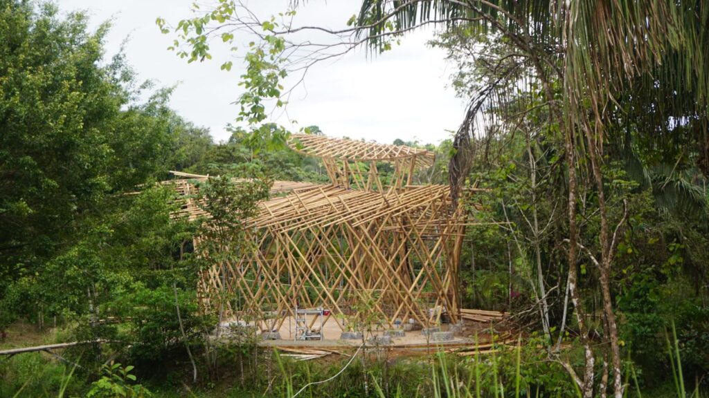 Biophilia's Bamboo Building in progress