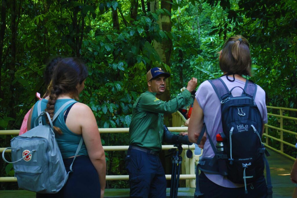 Guided Tours